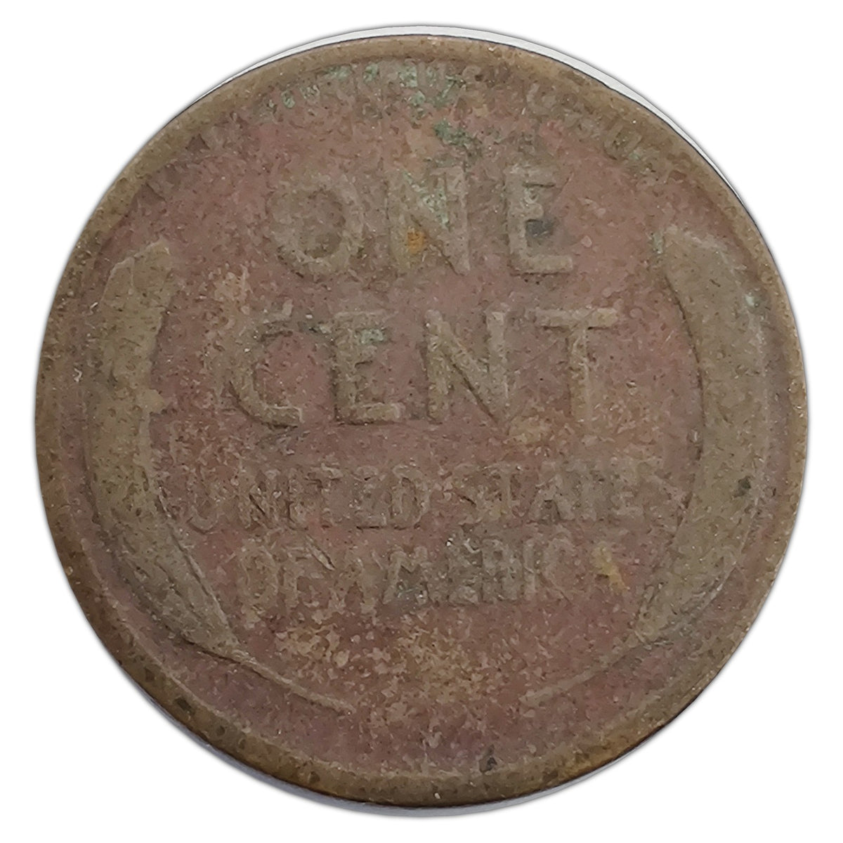 LC-1909-P-AG representative coin