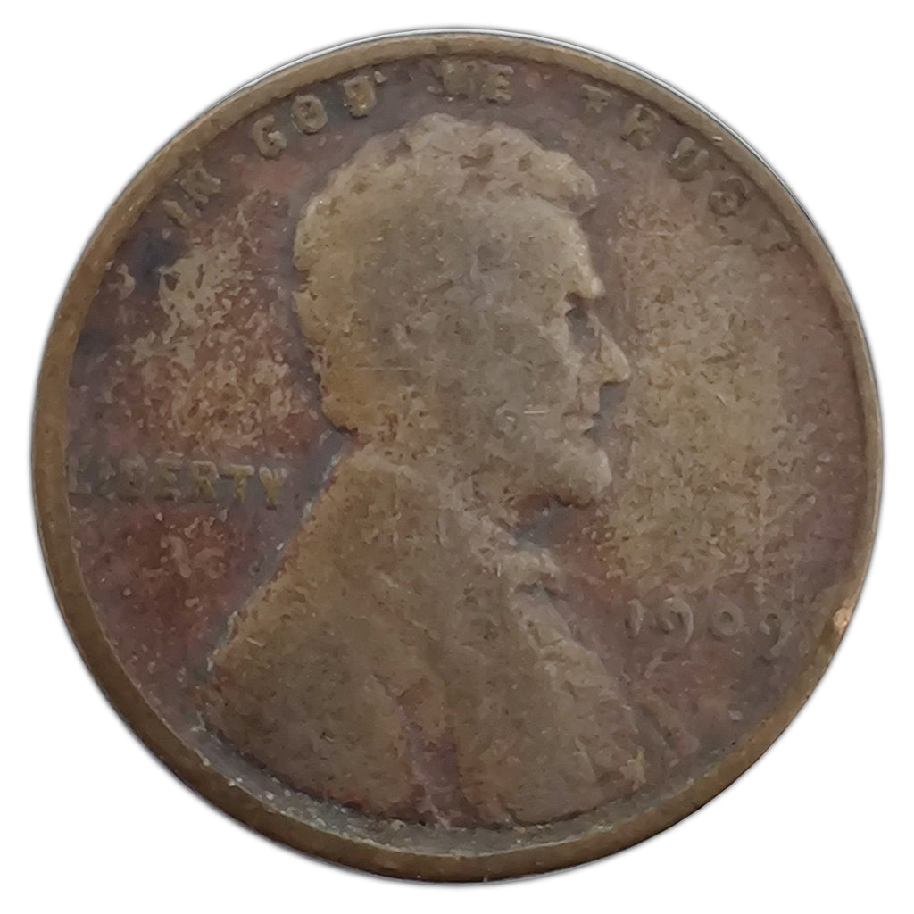 LC-1909-P-AG representative coin