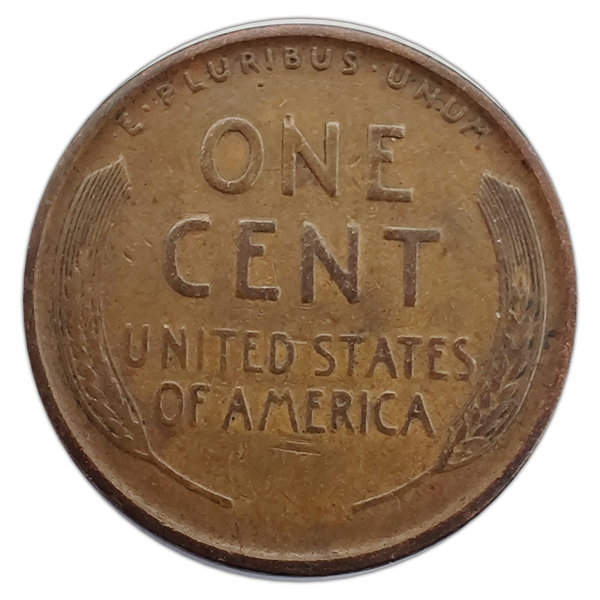 LC-1909-P-F representative coin