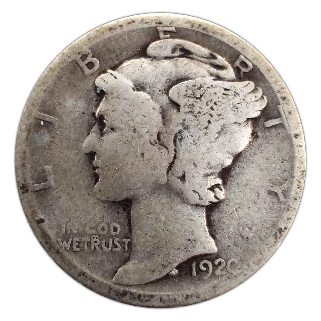MD-1920-D-AG representative coin