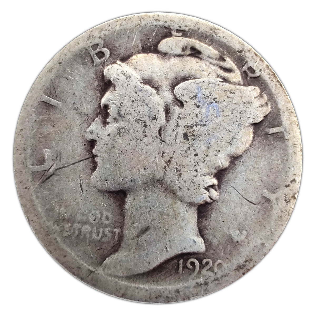 MD-1920-D-G representative coin