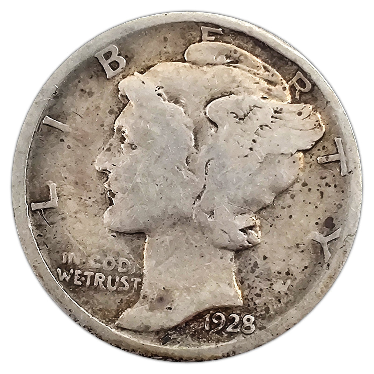 MD-1928-D-G representative coin