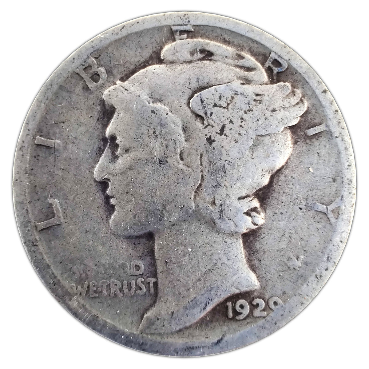 MD-1929-D-G representative coin