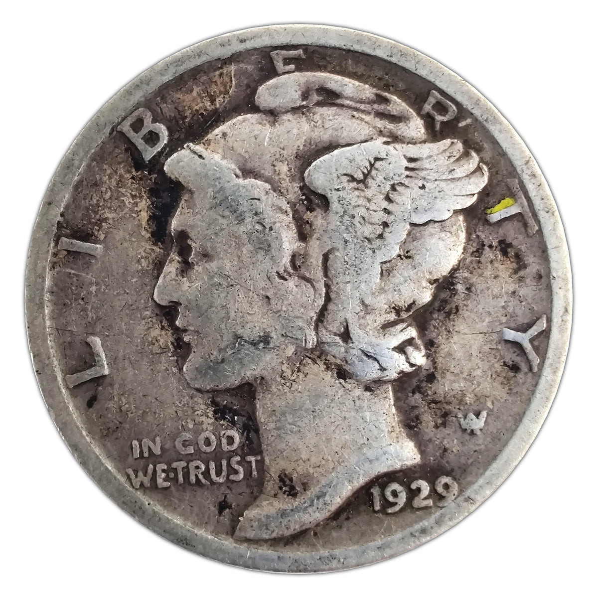 MD-1929-P-G representative coin