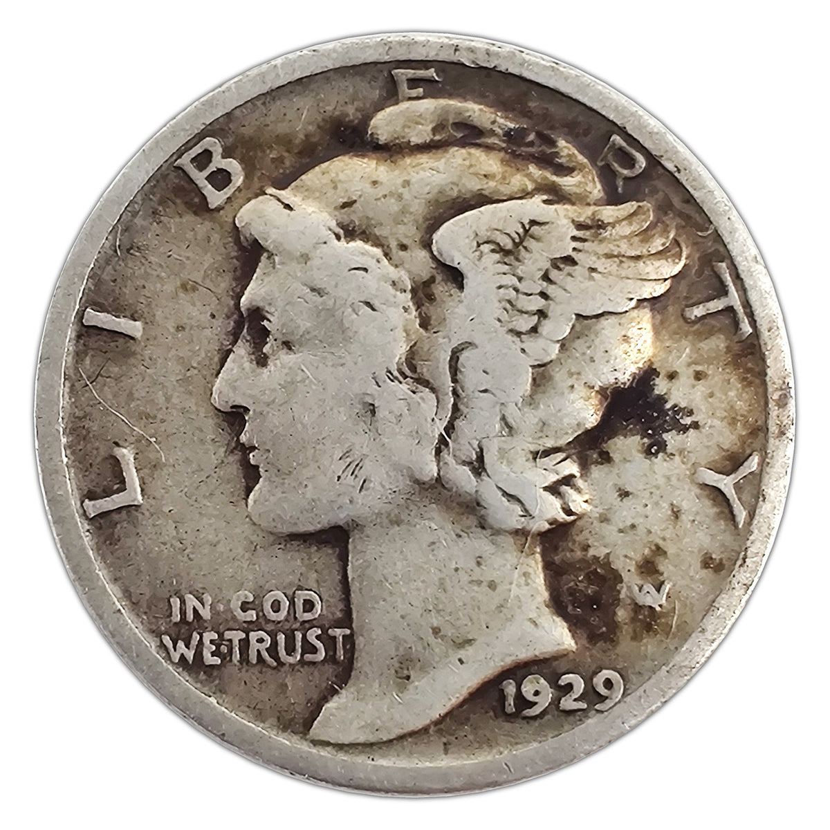 MD-1929-P-VG representative coin
