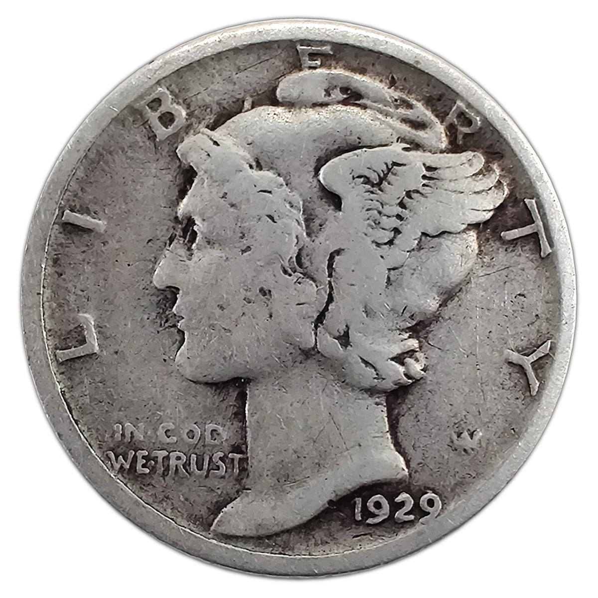 MD-1929-S-VG representative coin